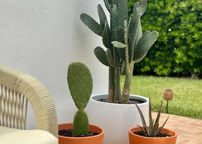 Kasa K - Slowlife In Binibeca